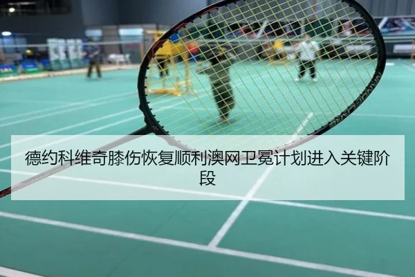 德约科维奇膝伤恢复顺利澳网卫冕计划进入关键阶段