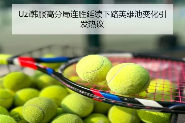 Uzi韩服高分局连胜延续下路英雄池变化引发热议